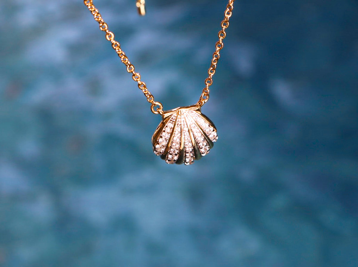 Seashell Necklace