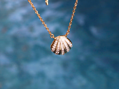 Seashell Necklace