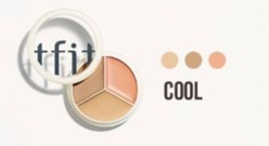 tfit Cover Up Pro Concealer 15g (6colors)
