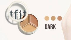 tfit Cover Up Pro Concealer 15g (6colors)
