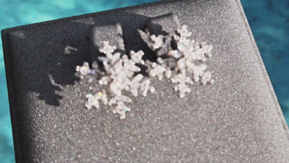 Snowflake Earrings