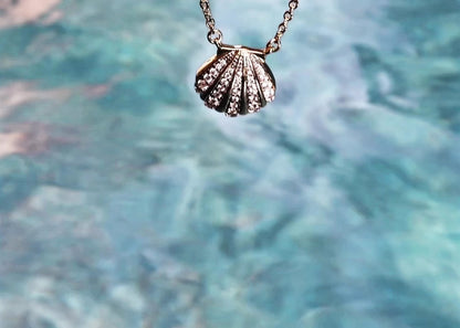 Seashell Necklace